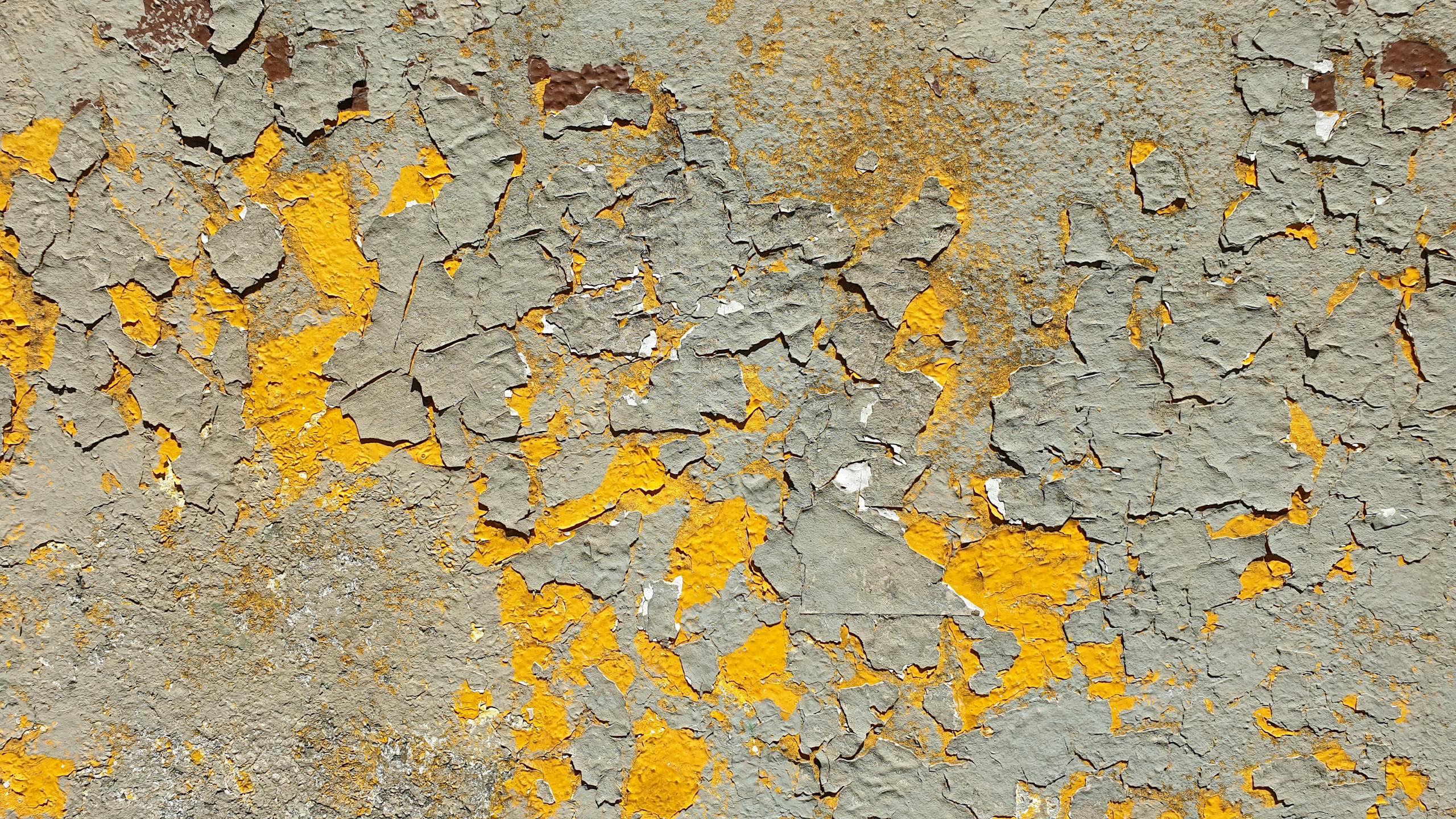 Yellow and Gray Concrete Wall